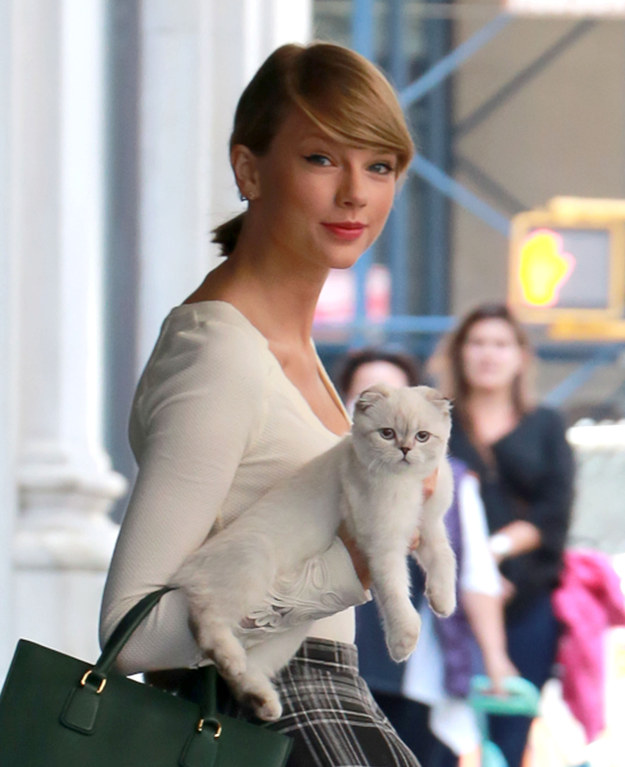 Taylor Swift holding a cat